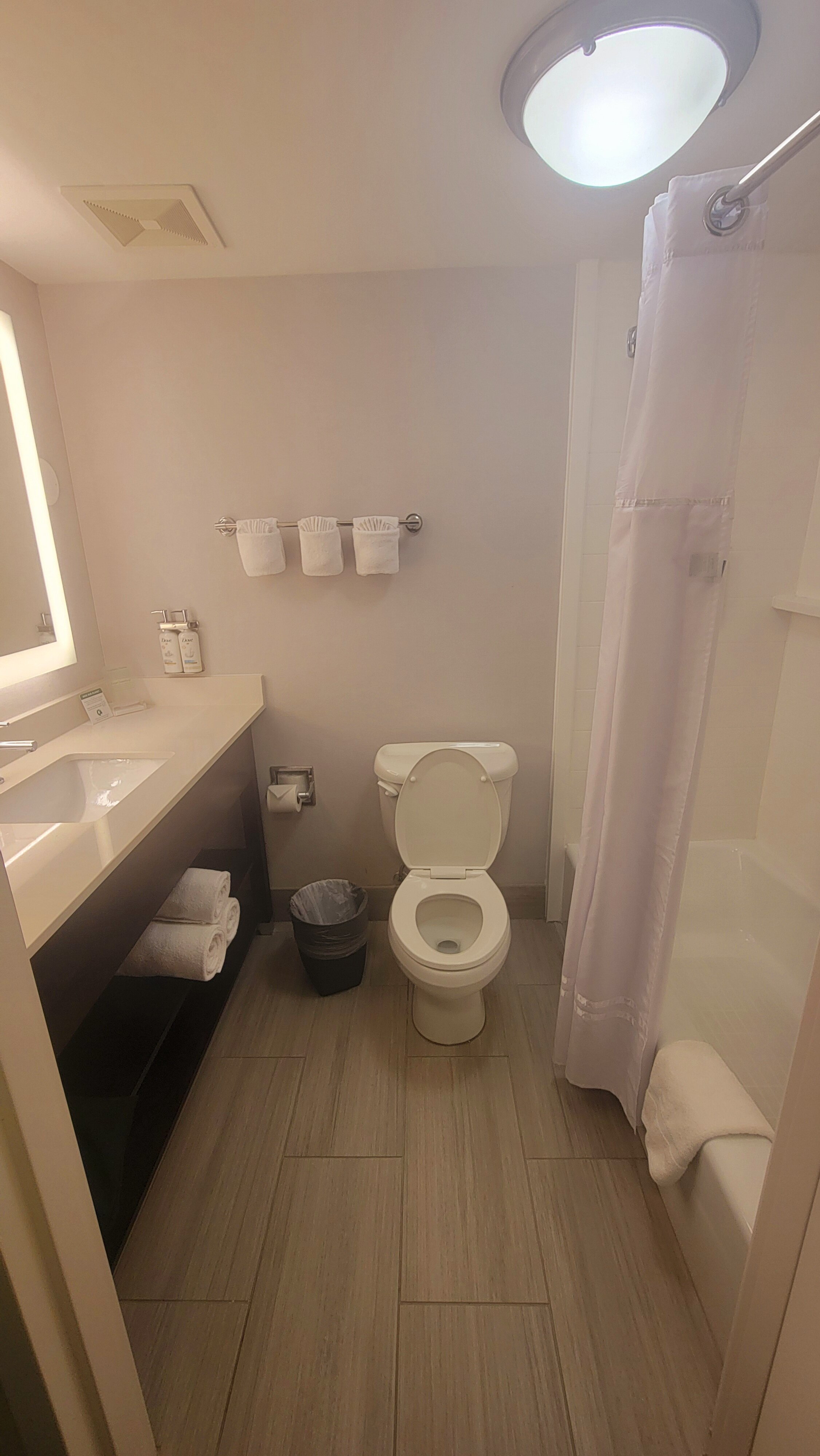 Holiday Inn Tallahassee E Capitol - Univ By IHG-浴室