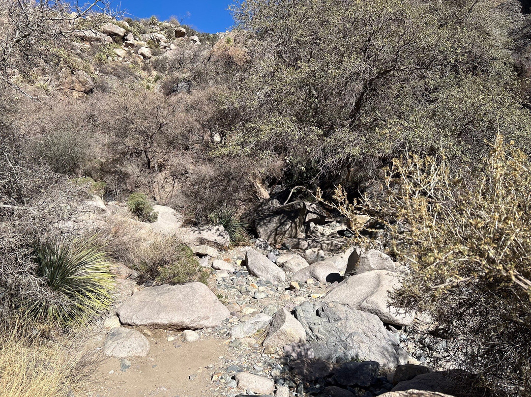 Organ Mountains-Desert Peaks National Monument-拉斯克鲁塞斯必去景点
