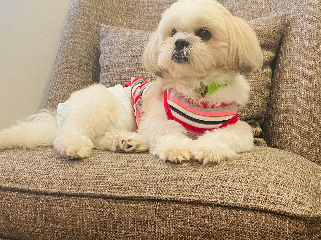 The Bayleaf Cavite主图