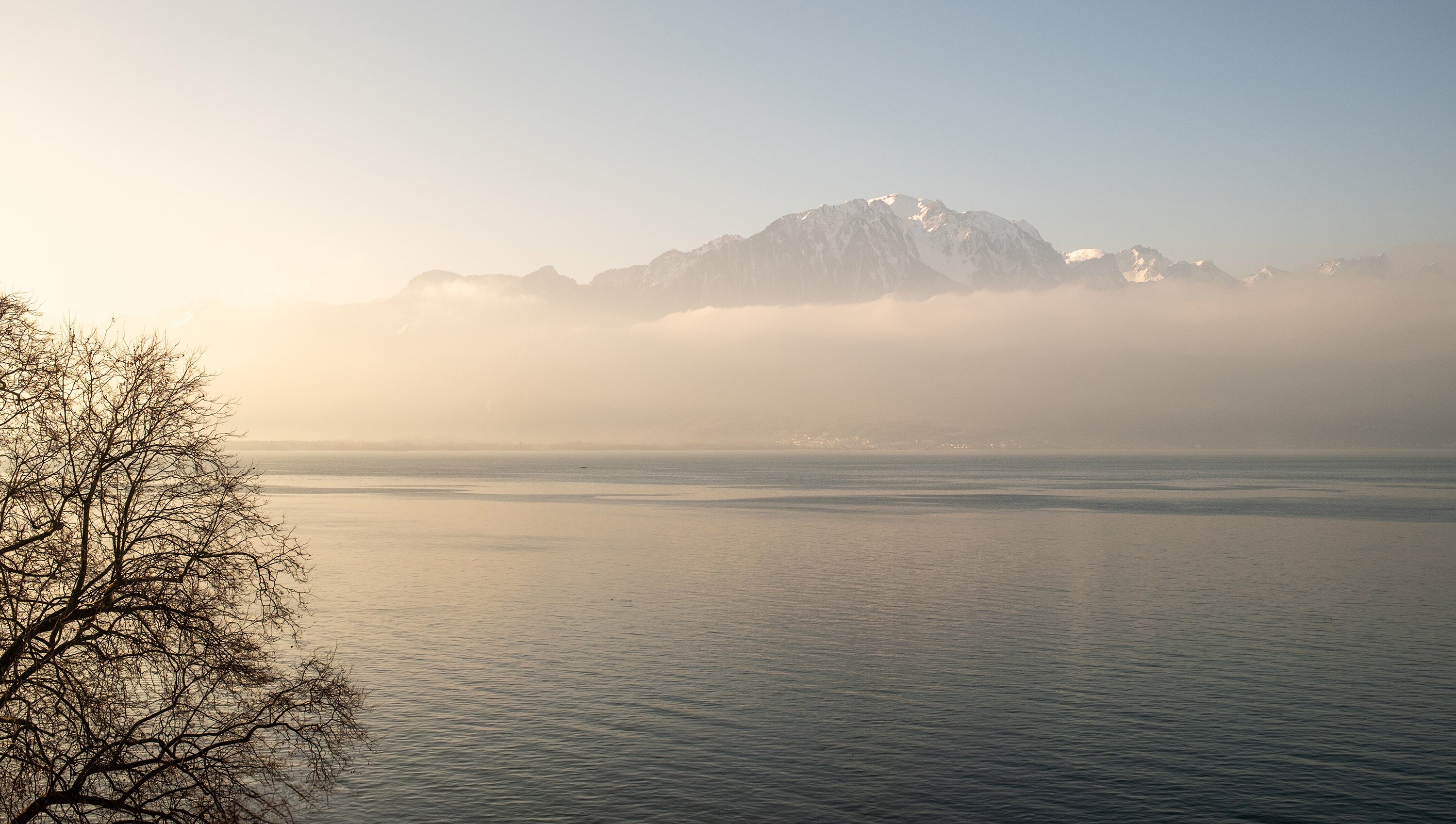 Royal Plaza Montreux-酒店景观