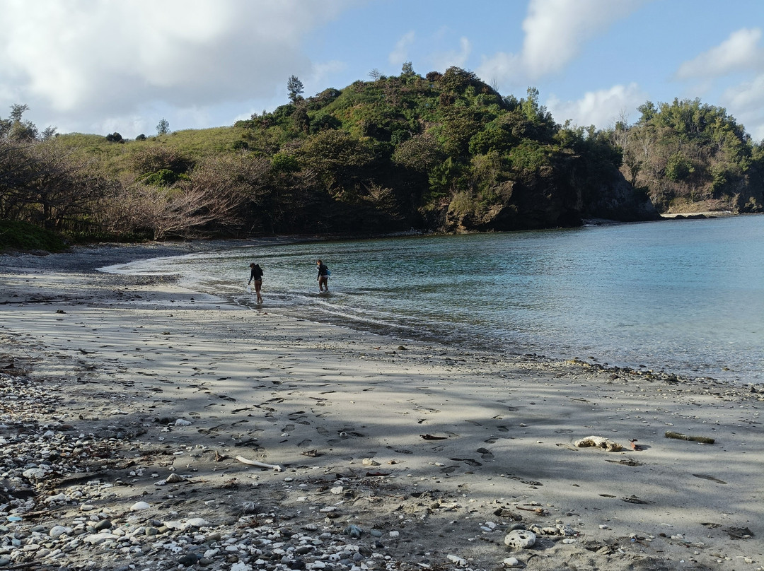 Chichijima Island-小笠原村必去景点