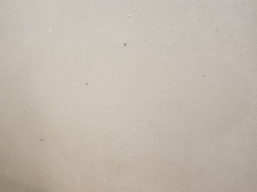 Crystalbrook Riley主图