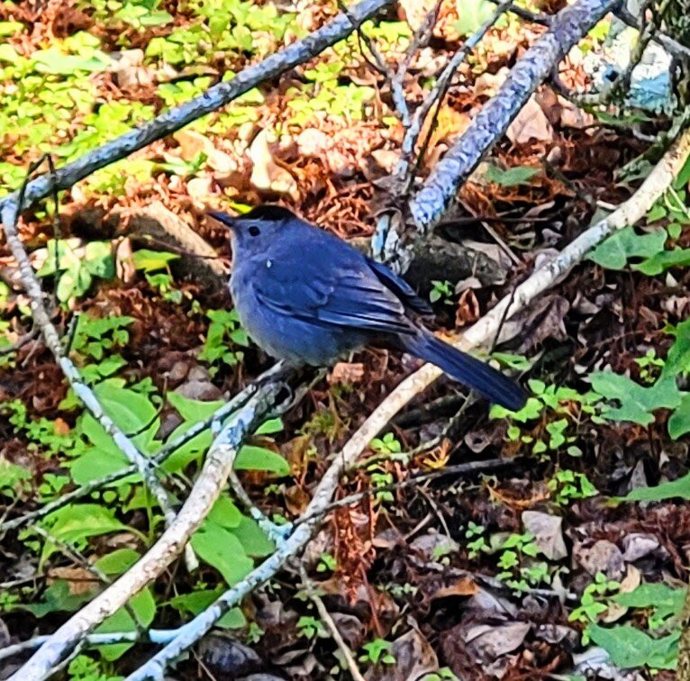 Burt Aaronson South County Regional Park-博卡拉顿必去景点