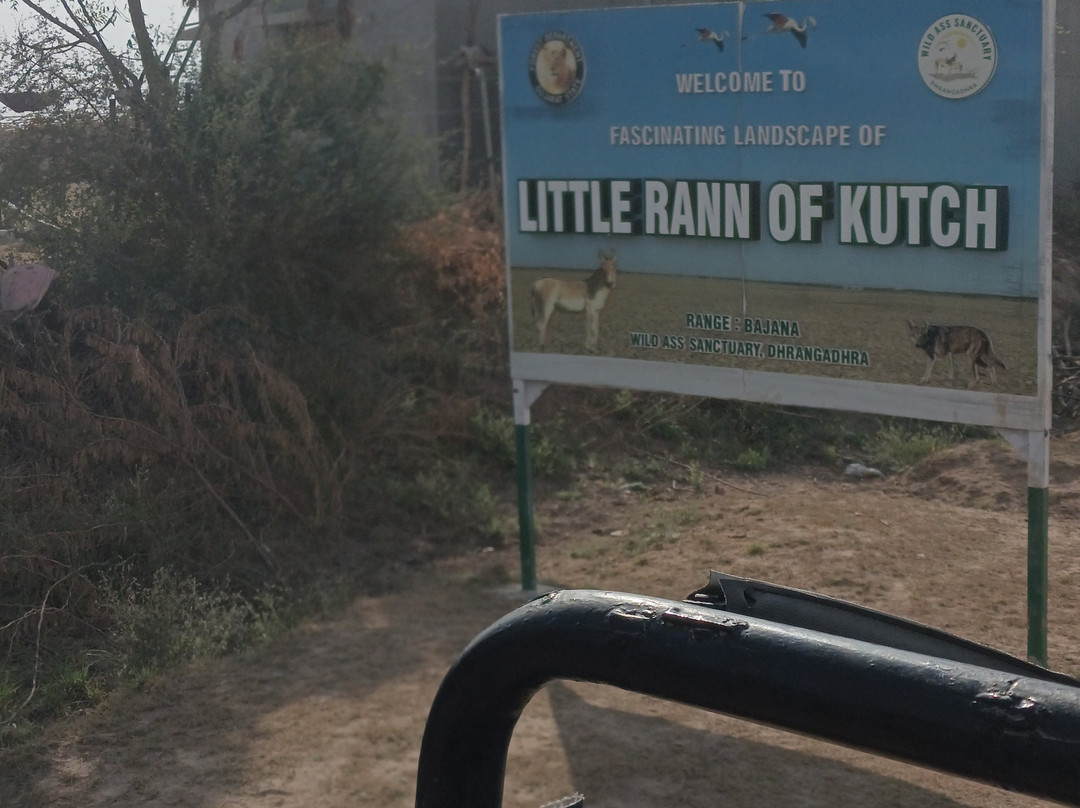 The Fern Sattva Resort, Little Rann Of Kutch