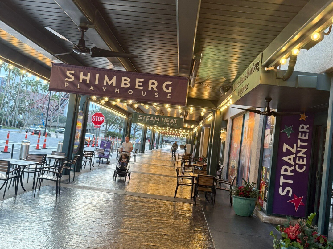 Straz Center for the Performing Arts-坦帕必去景点