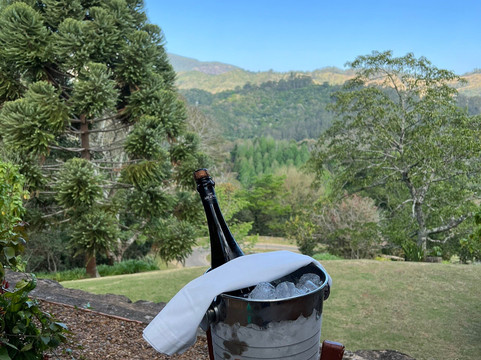 Botanique Hotel Experience主图