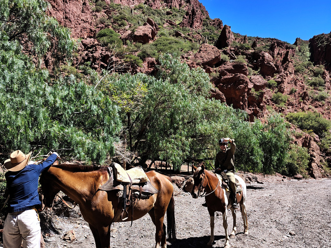 Centro Ecuestre Amazonas-Tupiza必去景点
