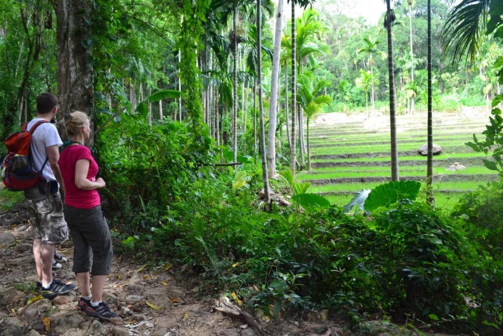 Dream Master Travel & Tour Pvt Ltd-Kotte必去景点