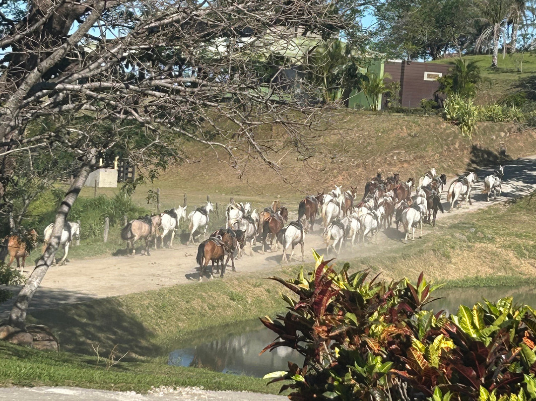 Buena Vista del Rincon Eco Adventure Park Hotel & Spa主图