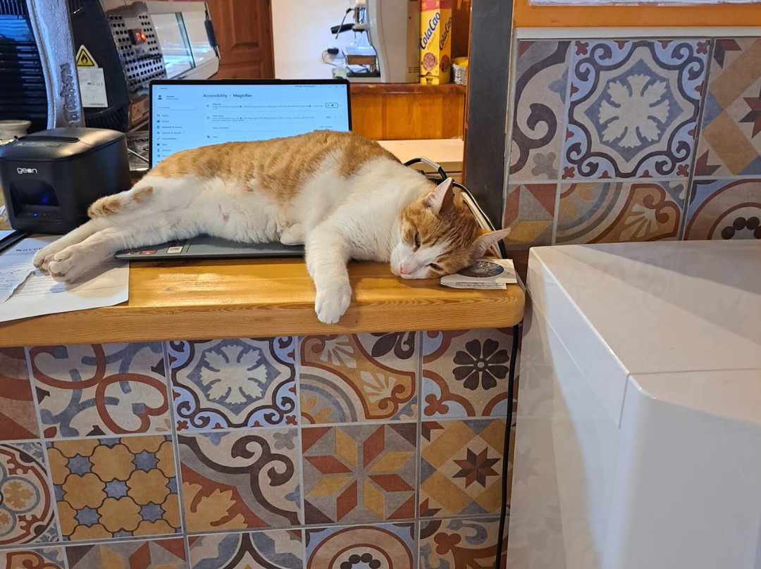 Hotel La Mariposa主图