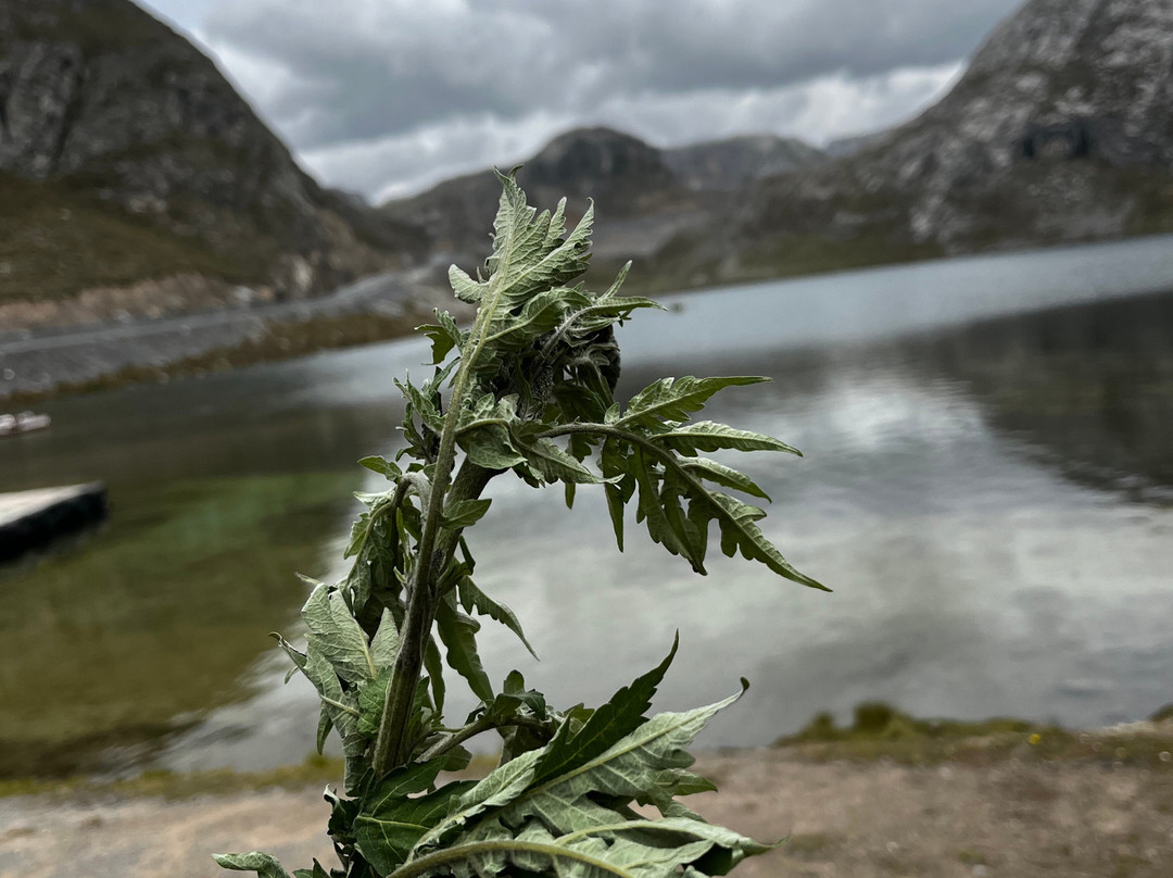 Laguna de 7 Colores-Canta必去景点