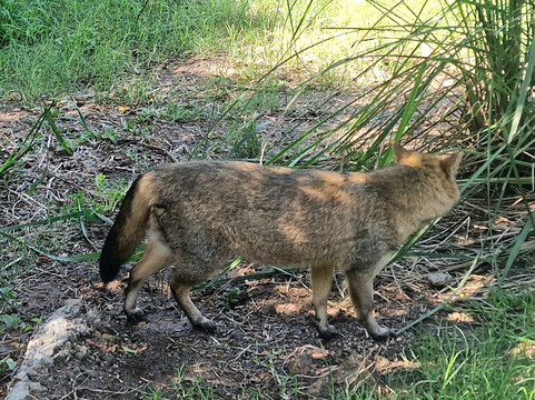 Reserva de Flora y Fauna Autóctona del Cerro Pan de Azúcar-Piriapolis必去景点