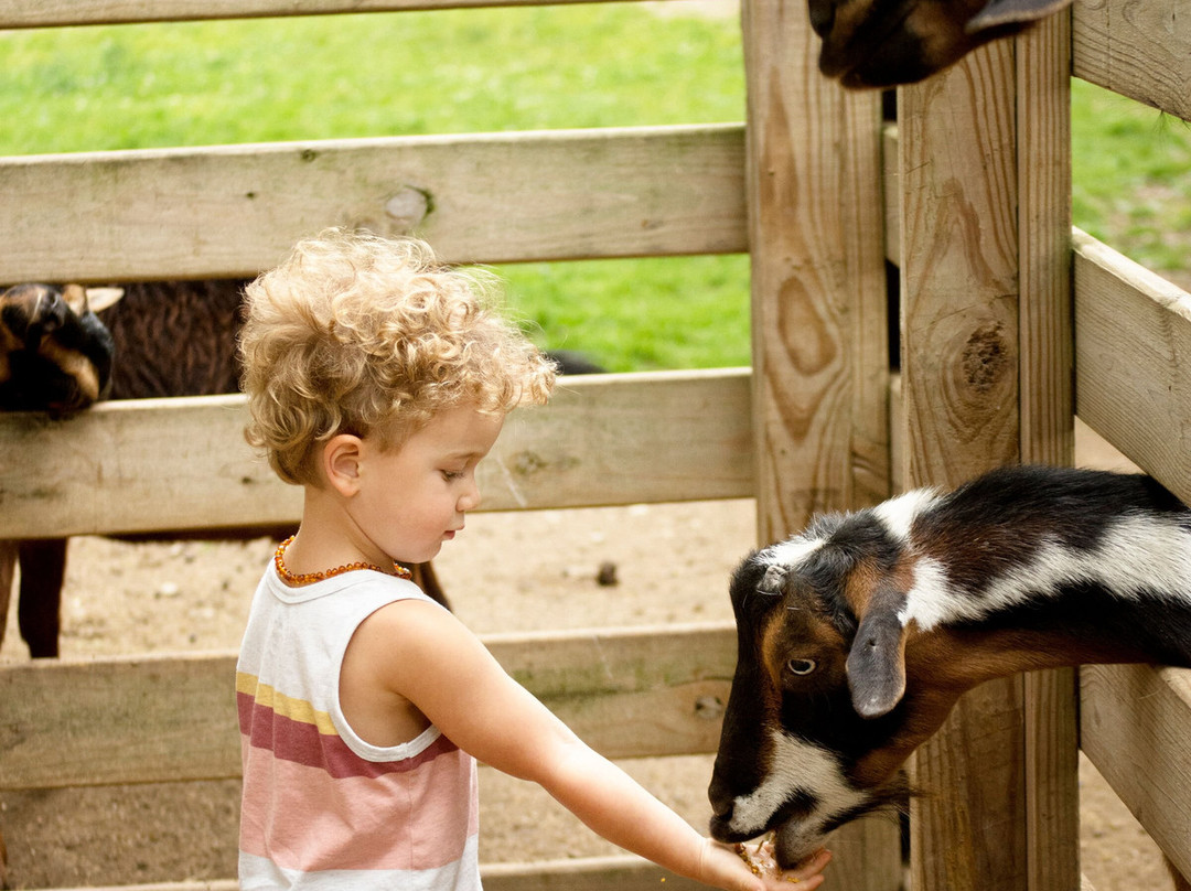 Olentangy Caverns | Rock & Gem Shop-Delaware必去景点