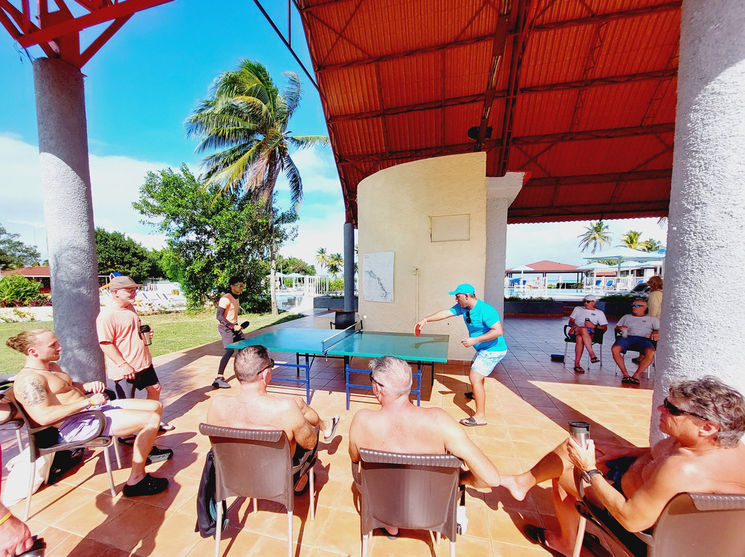 Starfish Cayo Guillermo主图