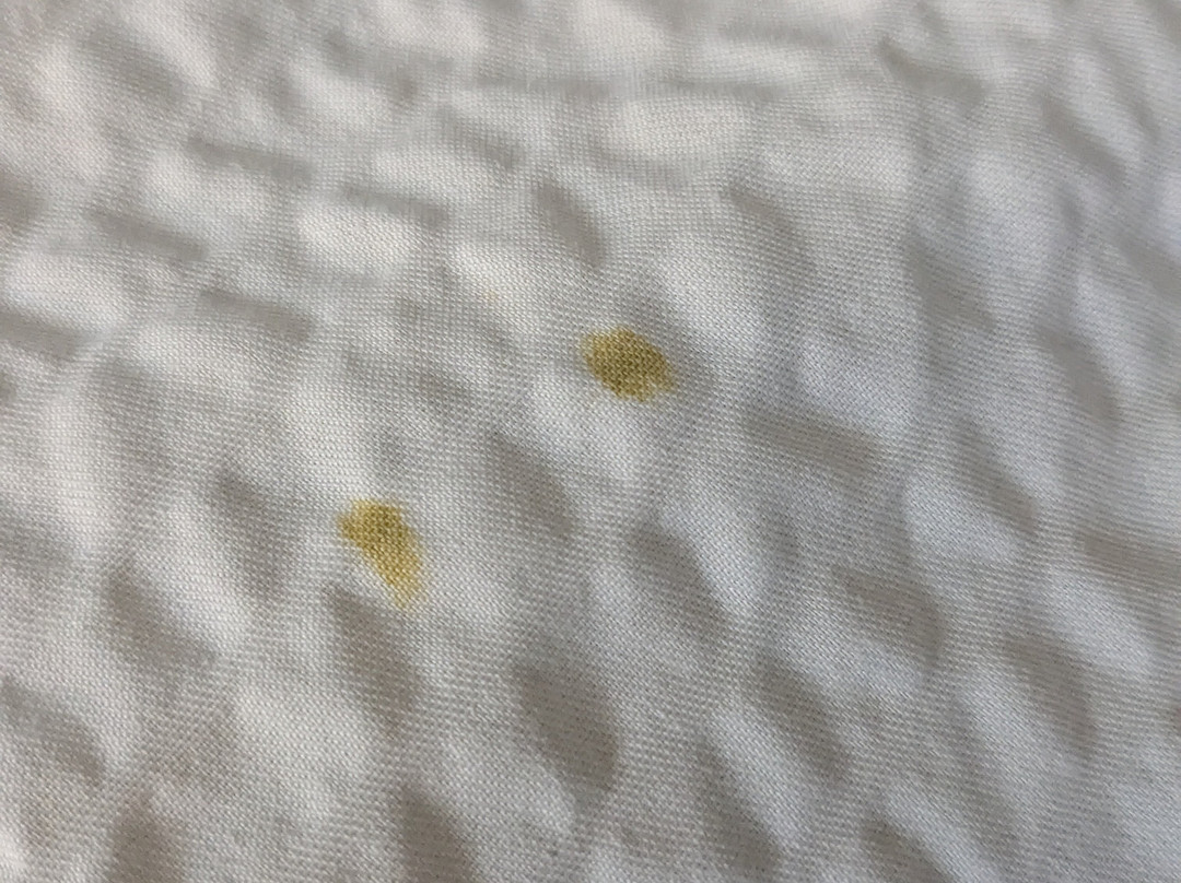 Days Inn by Wyndham Leesville主图