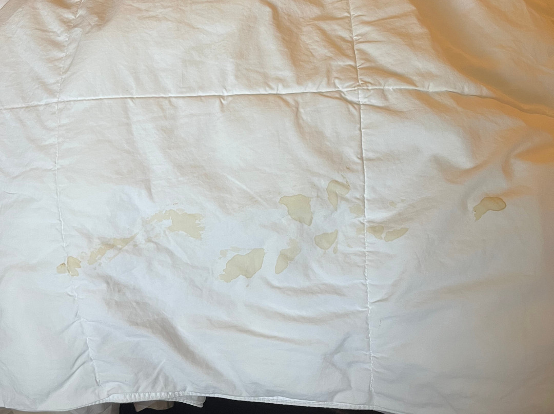 Comfort Suites Fredericksburg North主图