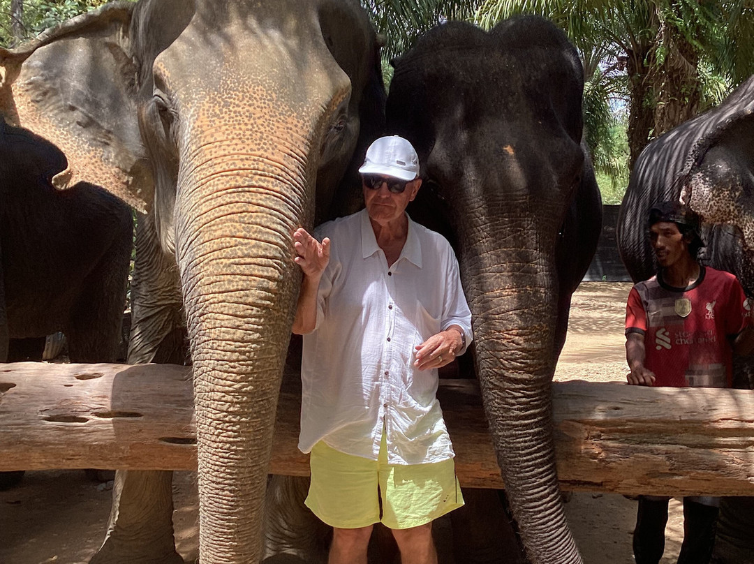 Win Elephant Tour Khao Sok景点图片