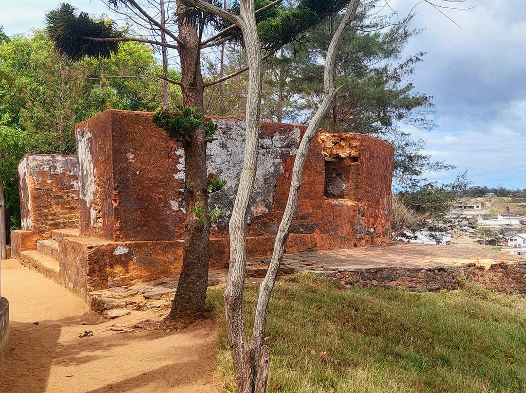Musée Fort Flacourt景点图片