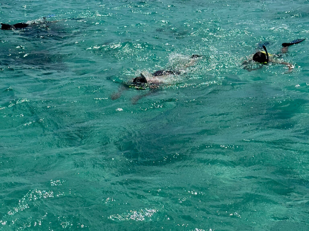 帕尔古拉-Lajas必去景点