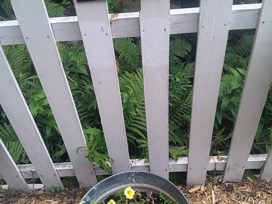 Blue Door Inn Alma主图