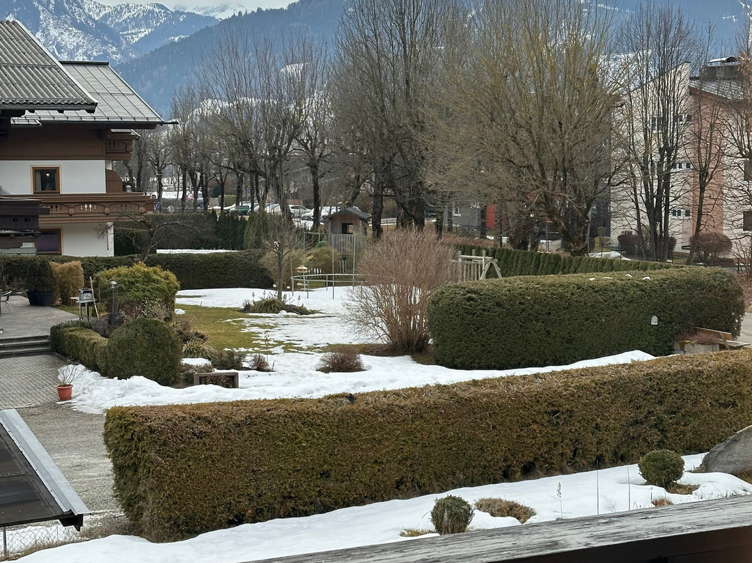 Pension Lindenthaler主图