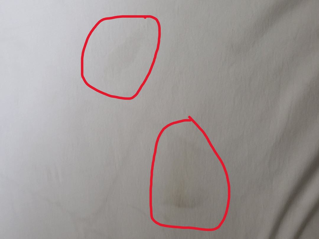 Best Western Lindale Inn主图