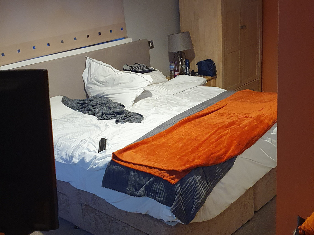 The Curious Fox主图