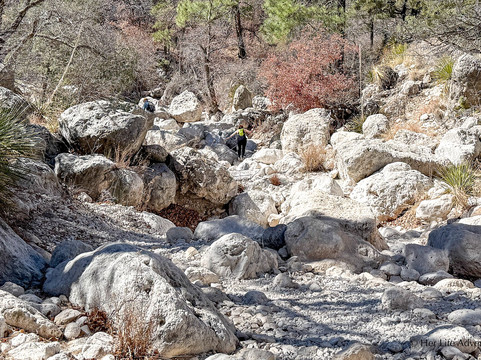 Devil's Hall Trail-Guadalupe Mountains National Park必去景点