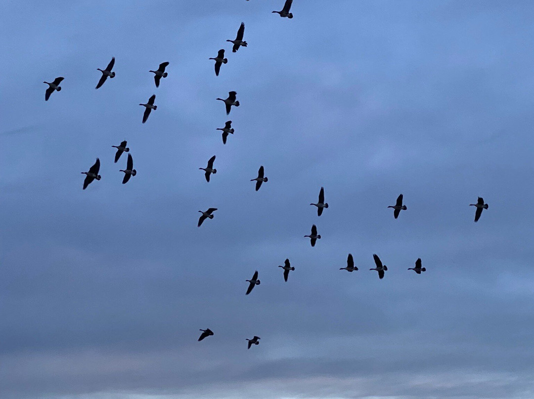 Recreation Park-Pampa必去景点