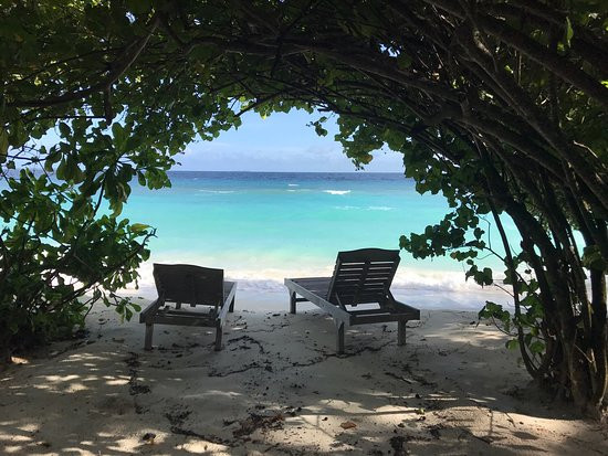 皇家岛度假村主图