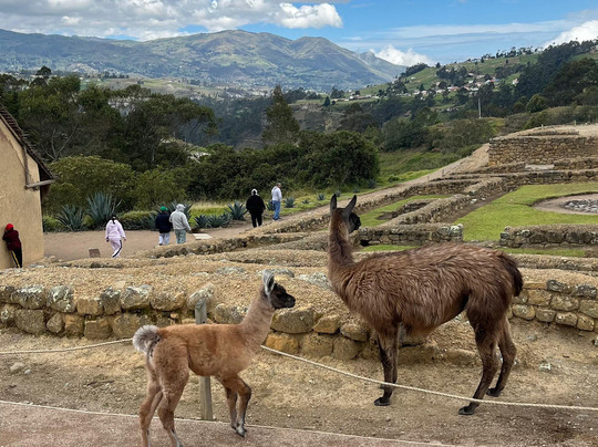 Ingapirca Ruins-Ingapirca必去景点