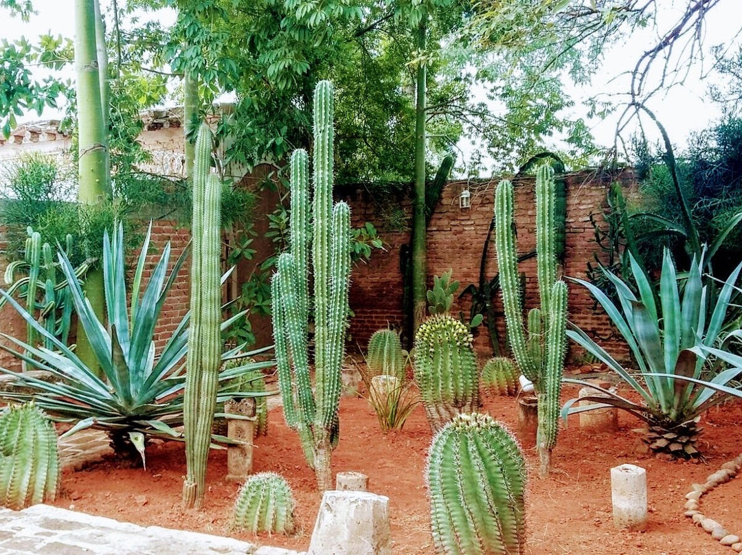 Hotel Torres Del Fuerte主图