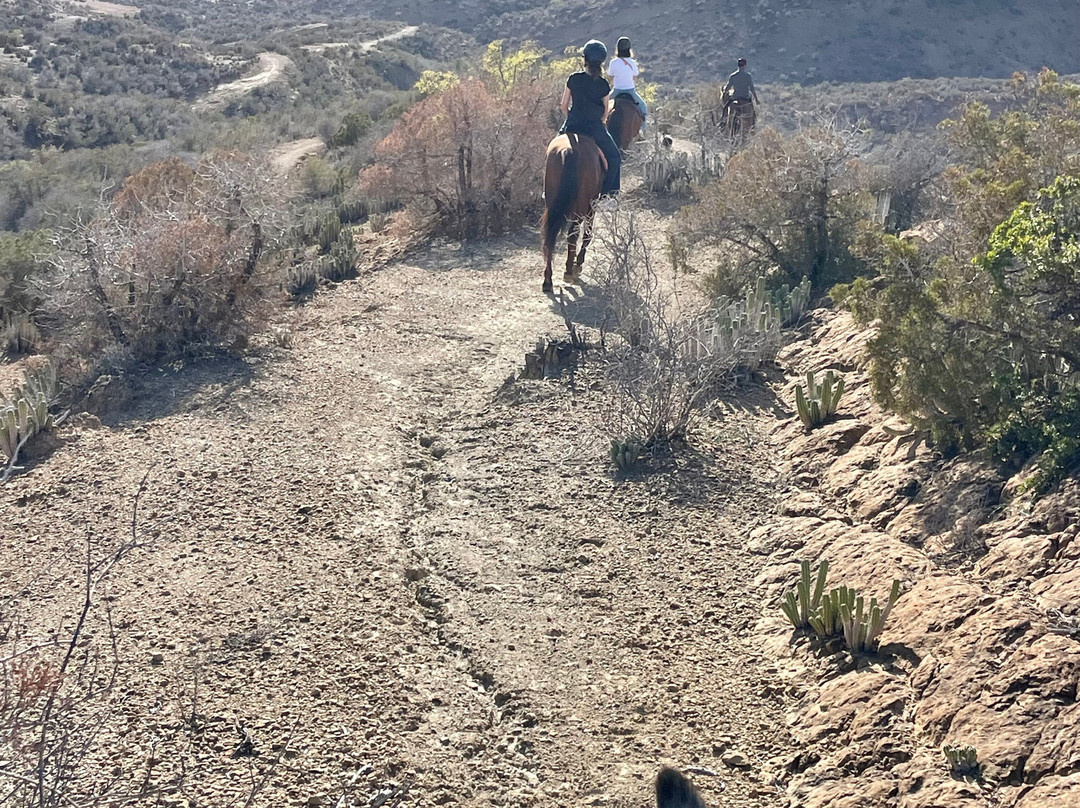 Amazir Cheval-Taghazout必去景点