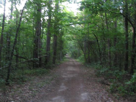 Oak Grove Bed and Breakfast主图