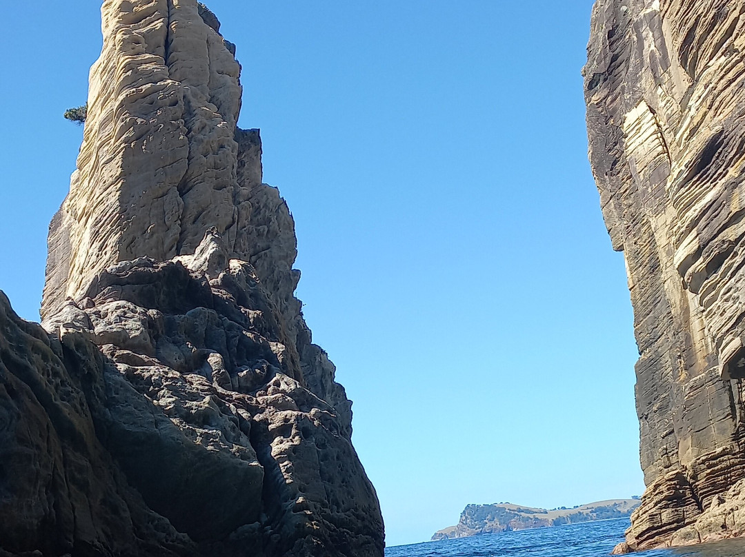 Coromandel Ocean Adventures-Tairua必去景点