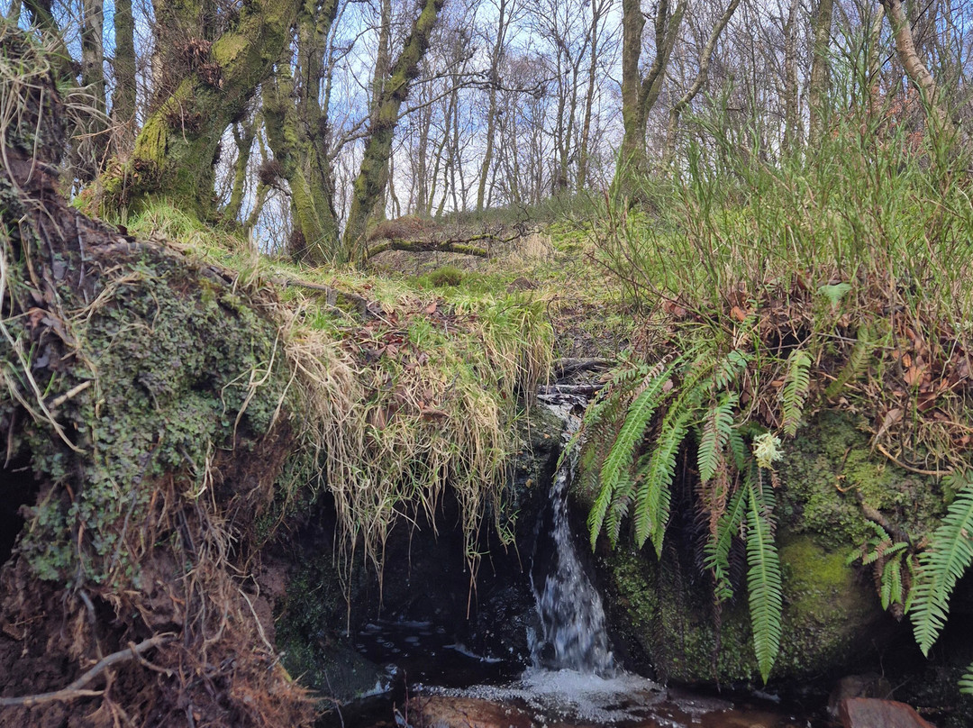 City Mountaineering-伦敦必去景点