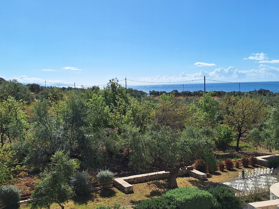 The Olive Yard -Boutique Hotel主图