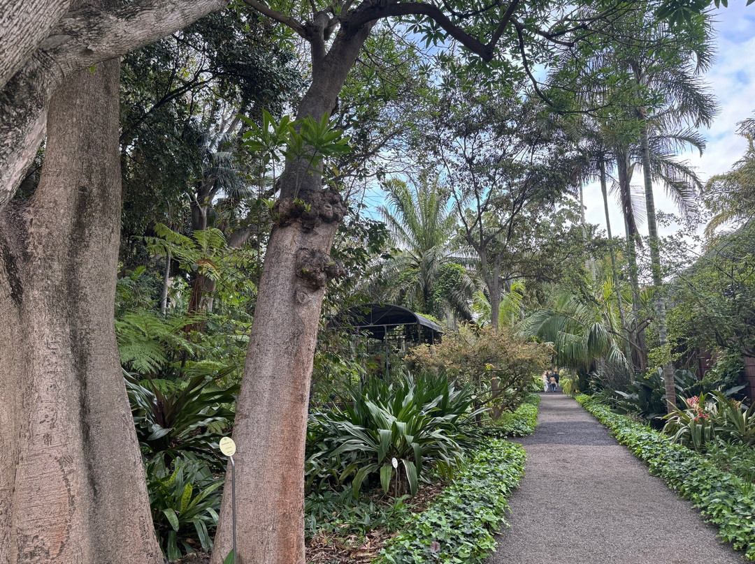 Botanischer Garten景点图片