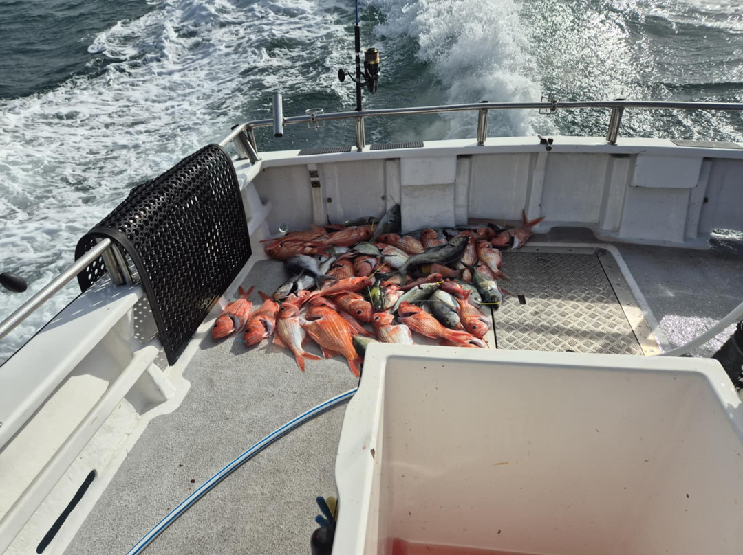 Reef Encounters Fishing Charters-Marion Bay必去景点