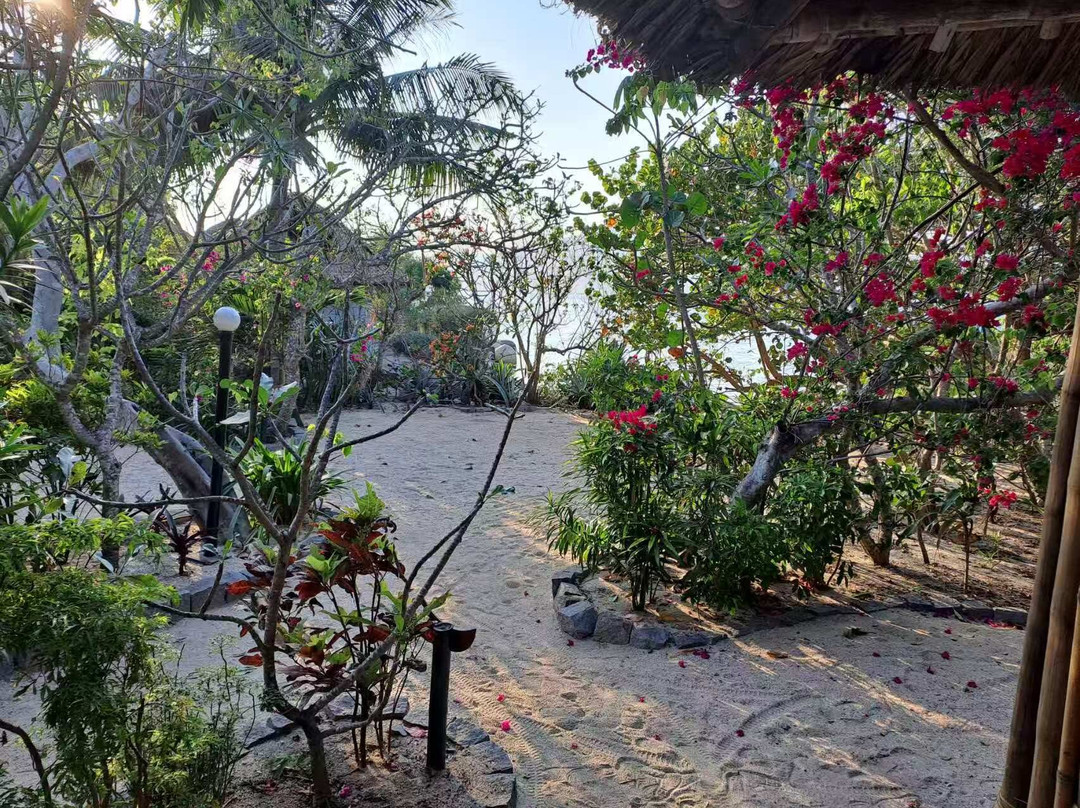 鲸鱼岛度假村主图