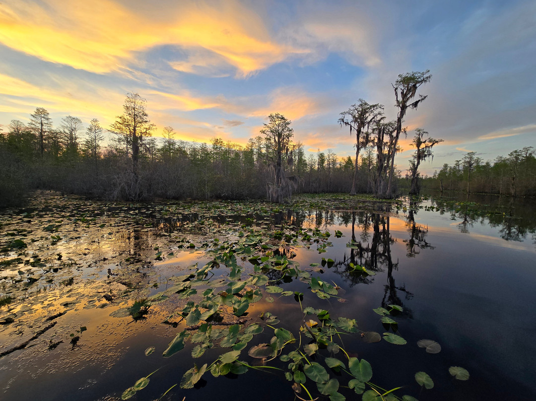 Okefenokee & Satilla Expeditions LLC-Folkston必去景点