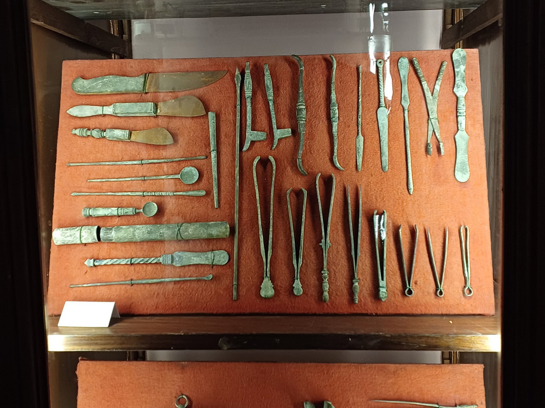 MUSA - Museo Universitario delle Scienze e delle Arti-那不勒斯必去景点