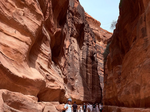 Petra Flower Tourism-安曼必去景点