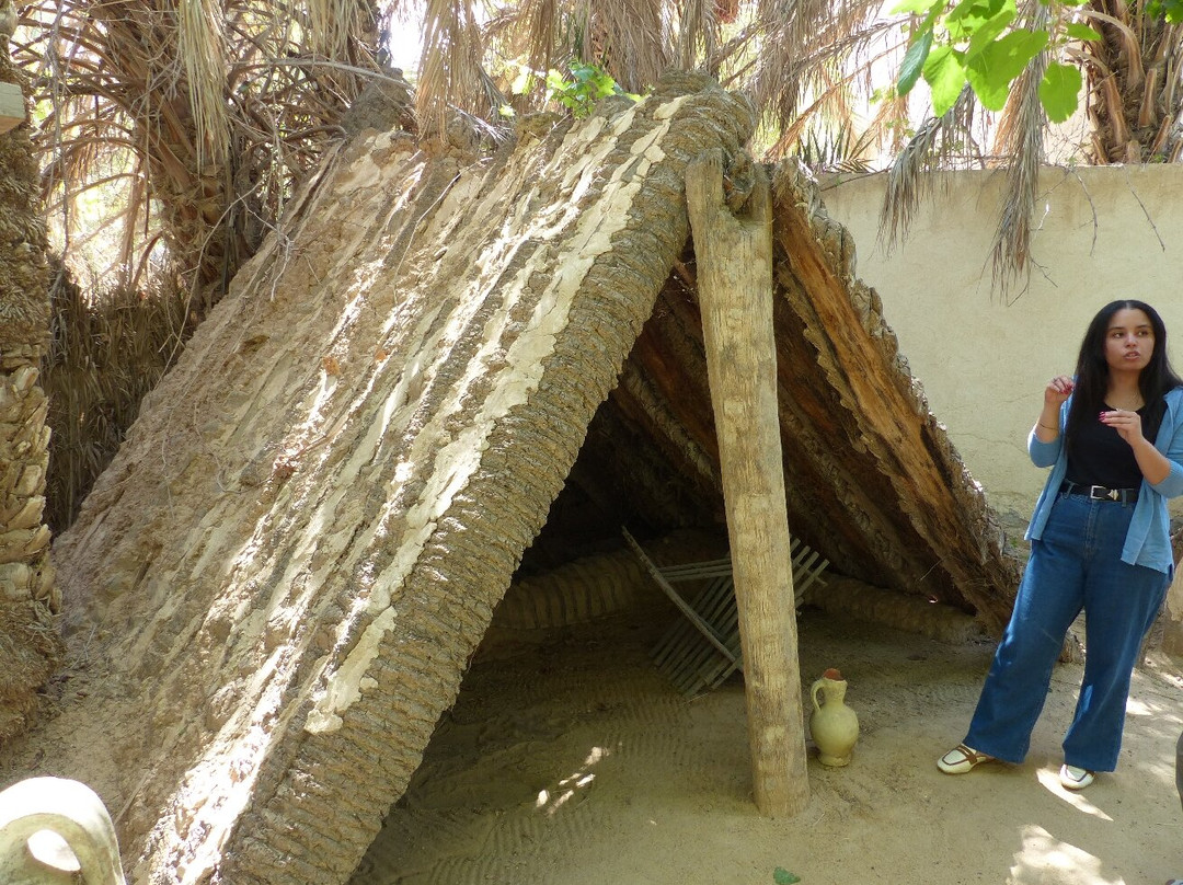 Eden Palm Tresors de l'Oasis-吐泽尔必去景点