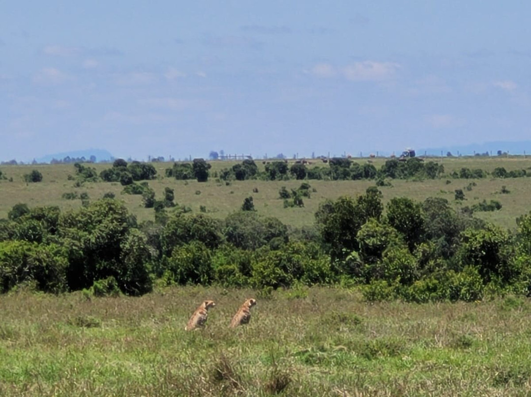 Pinnacle Alpine Tours and Treks-Naro Moru必去景点