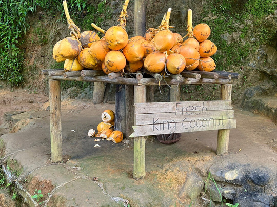 Ceylon Travel Buddy-卡卢特勒必去景点