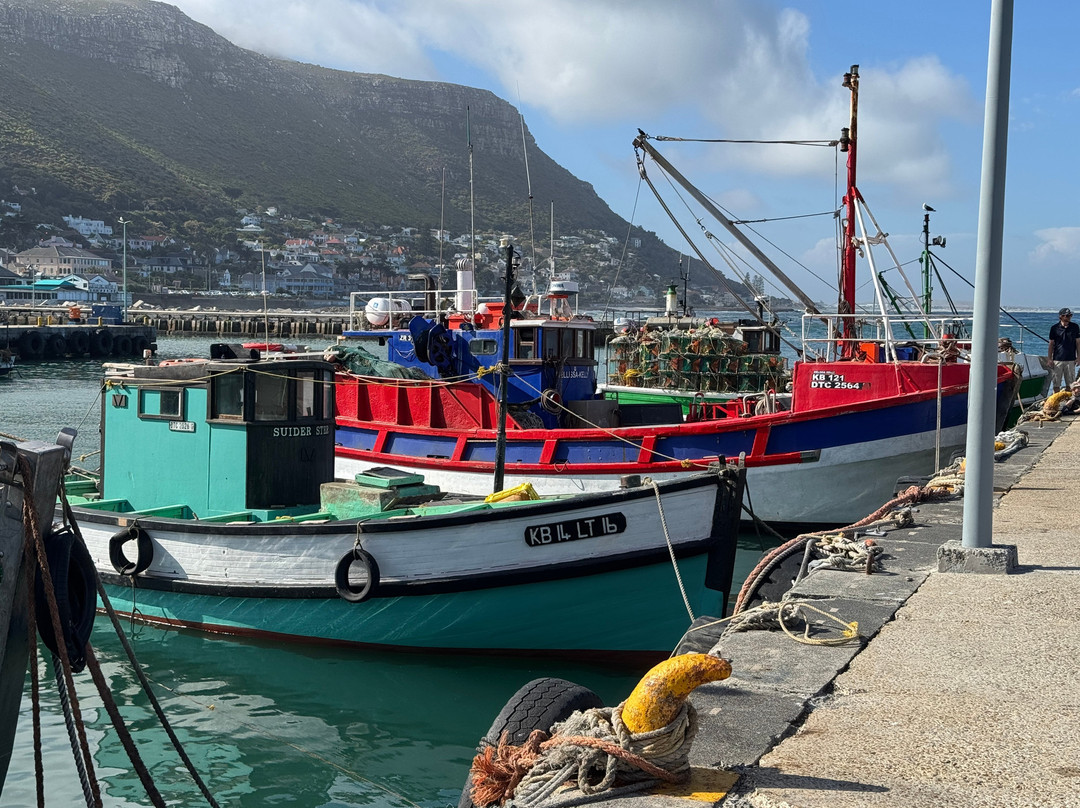 WineFairy-开普敦中心区必去景点