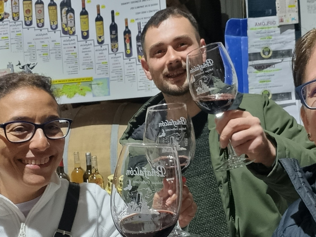 Bodegas Peñafalcon-Penafiel必去景点