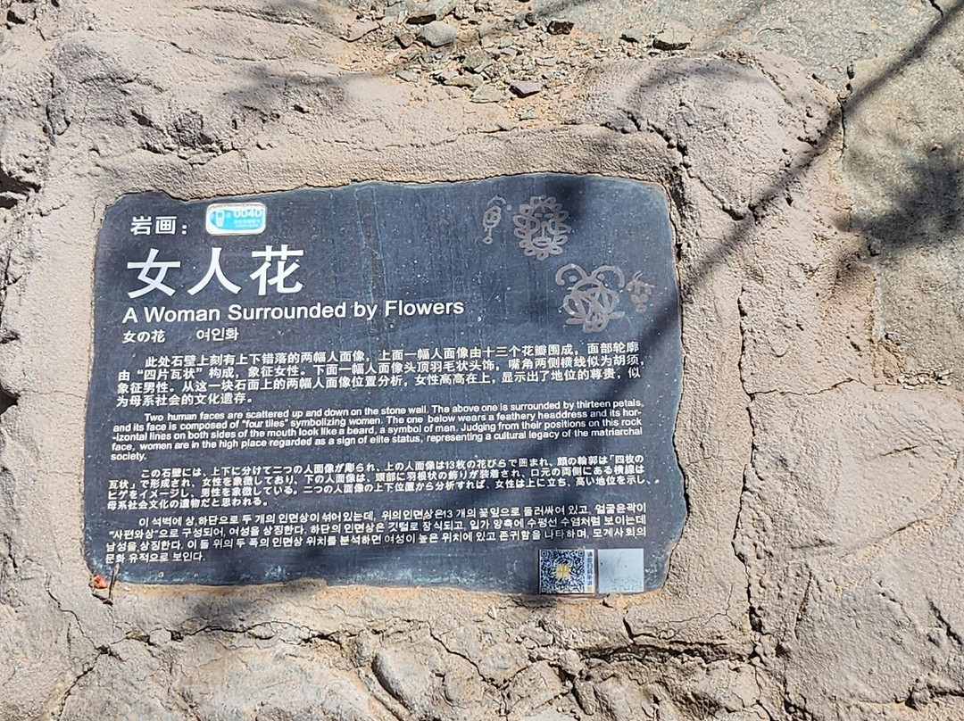 贺兰山岩画风景区景点图片