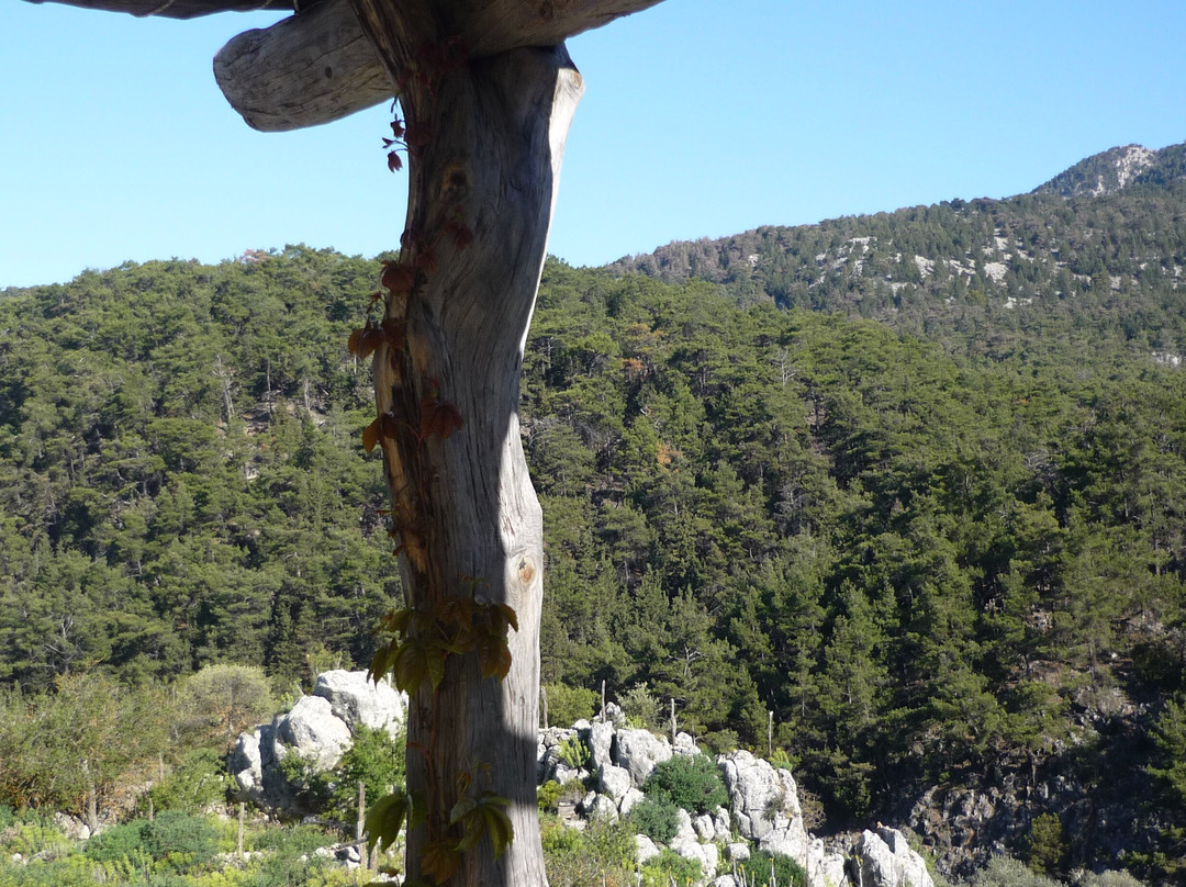 Guesthouse Alonia主图